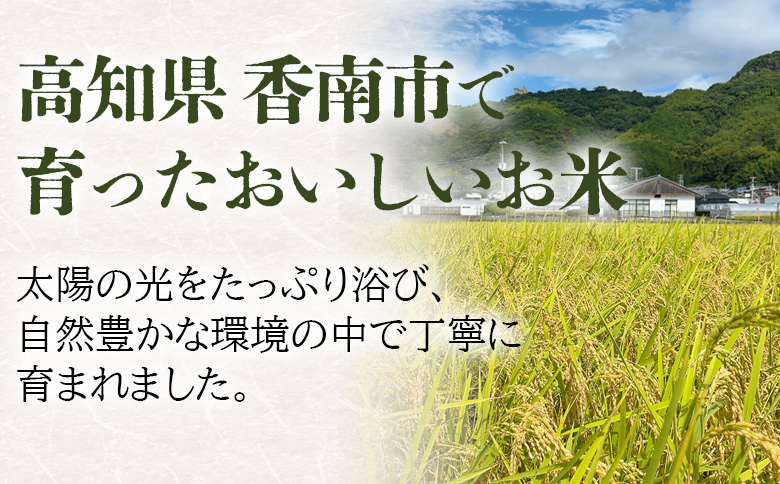 令和８年度産 玄米（特別栽培米）5kg - コシヒカリ こしひかり お米 こめ ご飯 穀物 お取り寄せ キロ ふっくら 冷めても美味しい 甘み お弁当 精米 国産 産地直送 こなつファーム 高知県 香