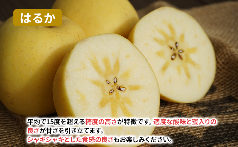 【11月から発送】 りんご 盛岡から「農で人をつなぐ」藤与果樹園： はるか 約3kg 6～11玉 玉数指定不可 詰め合わせ 岩手 盛岡