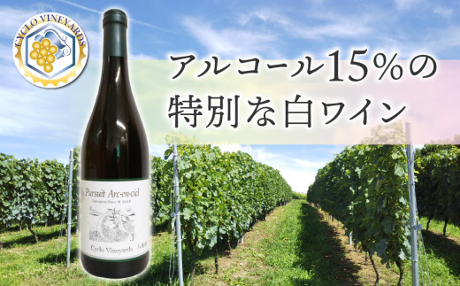 凍霜害 応援!!日本ワイン史上、初!? アルコール15％の特別なワイン｜ソーヴィニヨンブラン1本