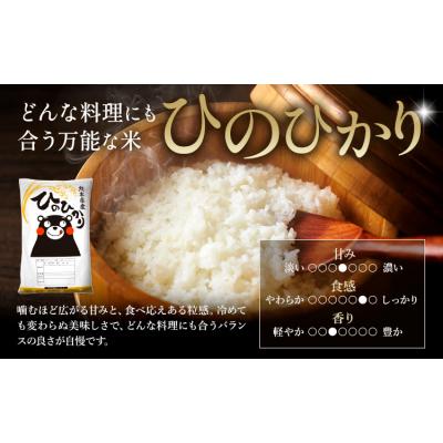 ふるさと納税 南阿蘇村 【12ヶ月定期便】米 無洗米 ひのひかりこしひかり 食べ比べ 20kg |  | 01