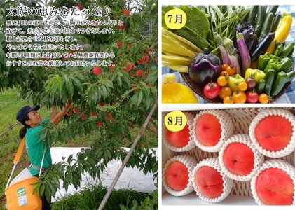 【定期便：全４回】フルーツと無農薬野菜の定期便　0148-2502