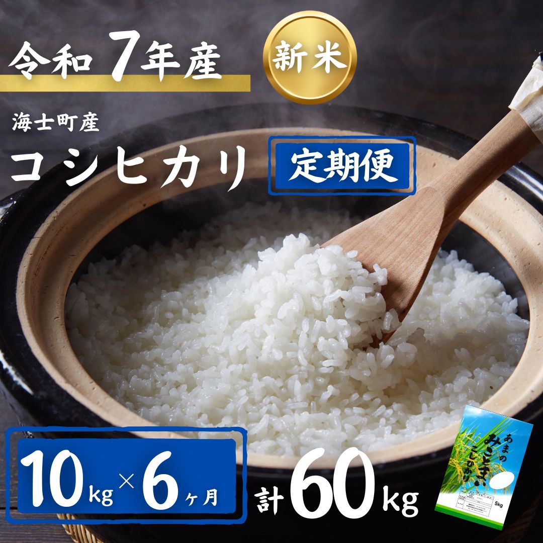 【ふるさと納税】【定期便6ヵ月】計60kg！コシヒカリ 10kg×6か月定期便 | 7年産 新米 お米 精米 白米 弁当 ごはん ご飯 こしひかり コシヒカリ 令和 ギフト 10kg 60kg |
