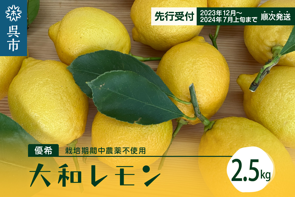 
【先行受付】栽培期間中農薬不使用　大和レモン 2.5kg
