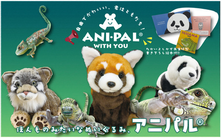 ともだちになれるぬいぐるみ！【ANI-PAL アニ・パル】（カメレオン　小）