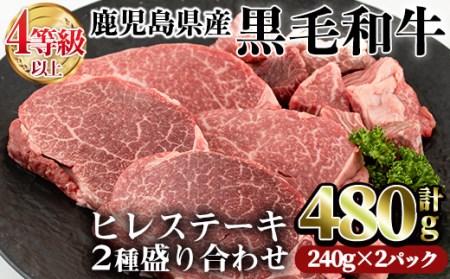 鹿児島県産黒毛和牛(4～5等級)ヒレステーキ2種盛り(合計480g・240g×2パック) 牛肉 ヒレ肉 赤身【カミチク】A-231-v01