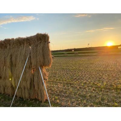 ふるさと納税 能美市 天日干有機米こしひかり「天地の誉」白米10kg (5kg×2袋) |  | 02