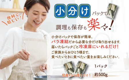 訳あり 塩サバ切身 約1kg ノルウェー産 冷凍 鯖 鯖 鯖 鯖 鯖 鯖 鯖 鯖 大一奈村魚問屋