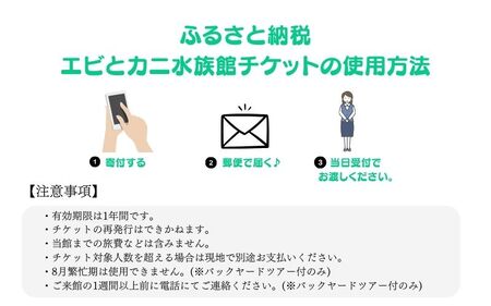 ＼たくさんの生物と触れ合える♪／　エビとカニの水族館 ３名様チケット【ebk002】　