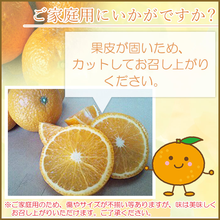 ＜愛媛県西予市産 スイートスプリング 家庭用 約4kg＞ 訳あり ワケアリ すいーとすぷりんぐ 果物 くだもの みかん ミカン 柑橘 甘い フルーツ 果実 特産品 産地直送 段畑みかん株式会社 愛媛県