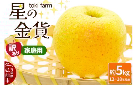 りんご【10月～11月発送】星の金貨 約5kg（12～18玉程度）【訳あり】家庭用 toki farm