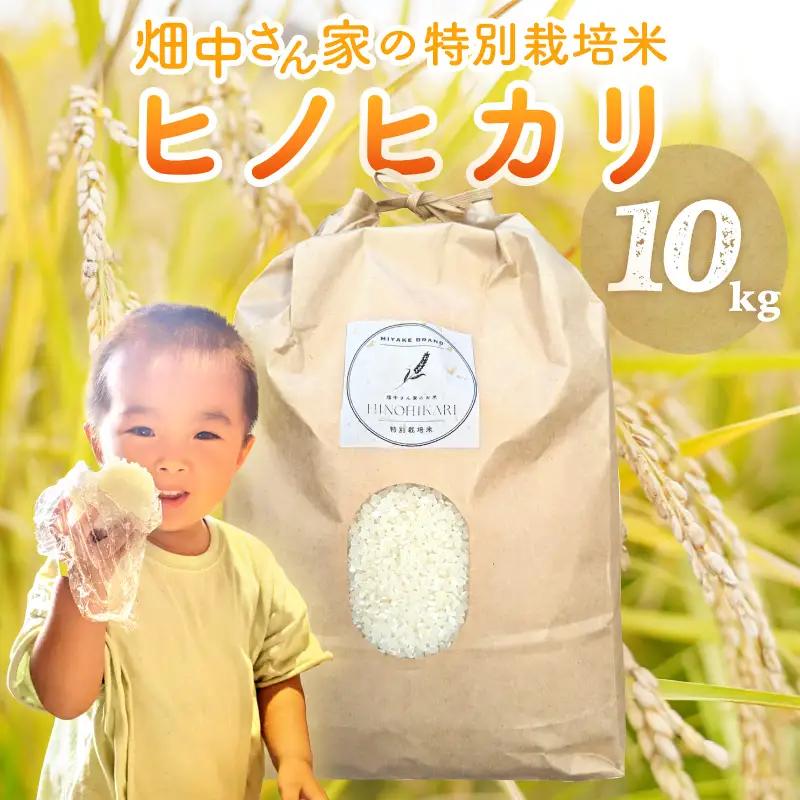 特別栽培米 減農薬 畑中さん ひのひかり 白米10kg ヒノヒカリ 奈良県 三宅町