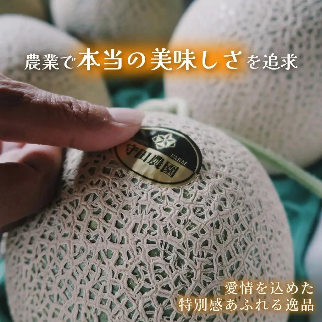 赤肉メロン 糖度15度以上 富良野産 赤肉メロン【8kg 1箱】