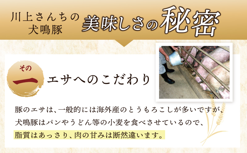 【泉佐野ブランド豚】犬鳴豚餃子 72個 小分け 12個×6P【国産 豚肉 工場直送 ぶた 惣菜 簡単調理 期間限定 数量限定】 G1480_イメージ3