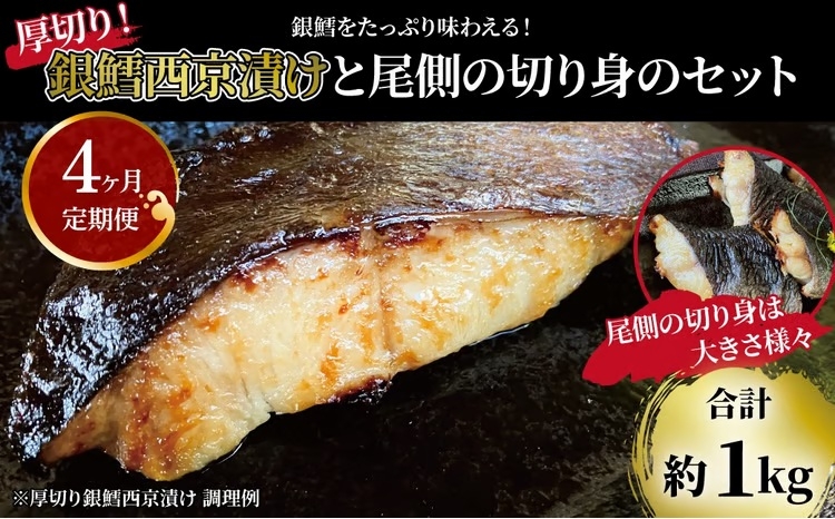 
                  定期便 4ヵ月 銀鱈 西京漬け 6枚 不揃い 尾 切り身 計1kg セット 詰め合わせ 銀鱈西京焼き 西京焼き 漬け魚 漬魚 西京味噌 西京味噌漬け 魚 焼き魚 切身 和食 おかず 惣菜 ご飯のお供 [№5412-0413]
                