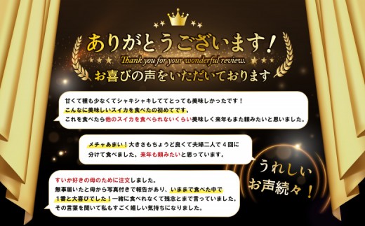《2026年分受付中》『夏の女神』大玉！種が少なくて甘い黒皮スイカ1玉入（6～8kg）