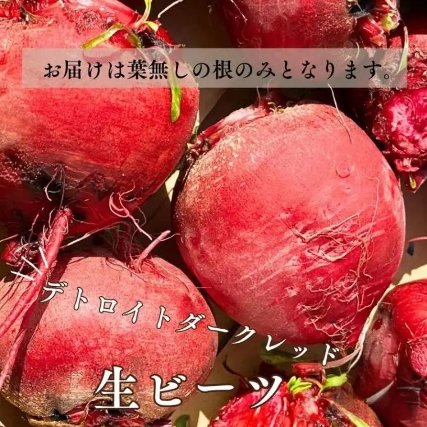訳あり ビーツ 約10kg【 毎月 6回 定期便 】｜長野県 飯田市