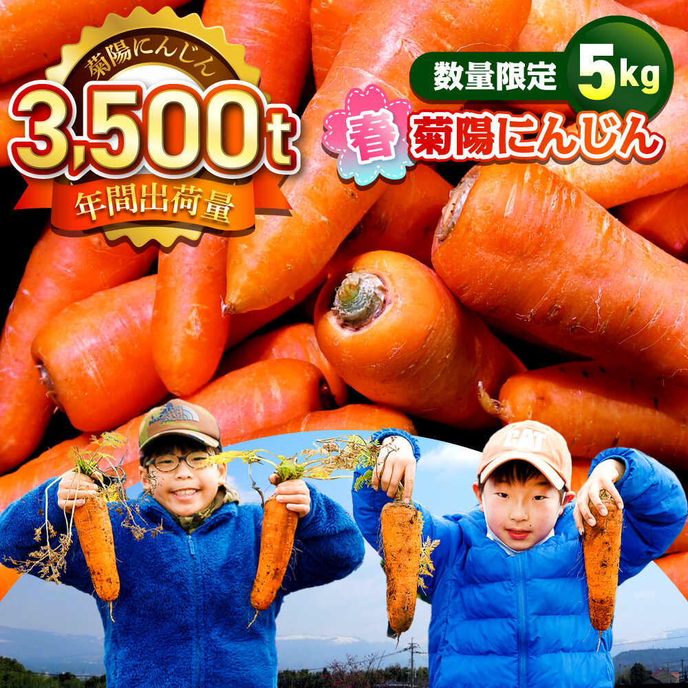 【ふるさと納税】【5月から順次発送予定】【数量限定】菊陽町の春にんじん 5kg 人参 ニンジン 菊陽にんじん にんじん 5キロ 熊本県産 春にんじん 【有限会社さんふれあ】[BHAK001]