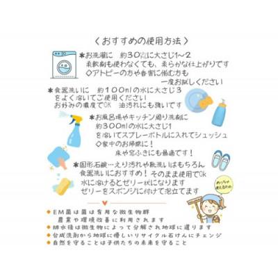 ふるさと納税 京丹後市 地球に優しいエコなEM菌入石けん 海の京都 京丹後からお届け/粉石けん800g×2袋+固形石鹸2個 |  | 01