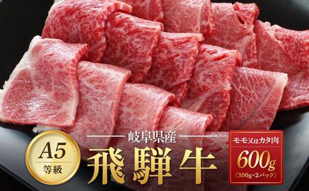 飛騨牛Ａ5 赤身肉 焼肉用 600g （300g×2パック） モモ 又は カタ 肉 ｜国産 肉 牛肉 焼肉 和牛 黒毛和牛 赤身 グルメ A5等級 おすすめ AD124 【飛騨牛 和牛ブランド 黒毛和牛 肉 牛肉 和牛 焼肉 小分け 岐阜 大野町】