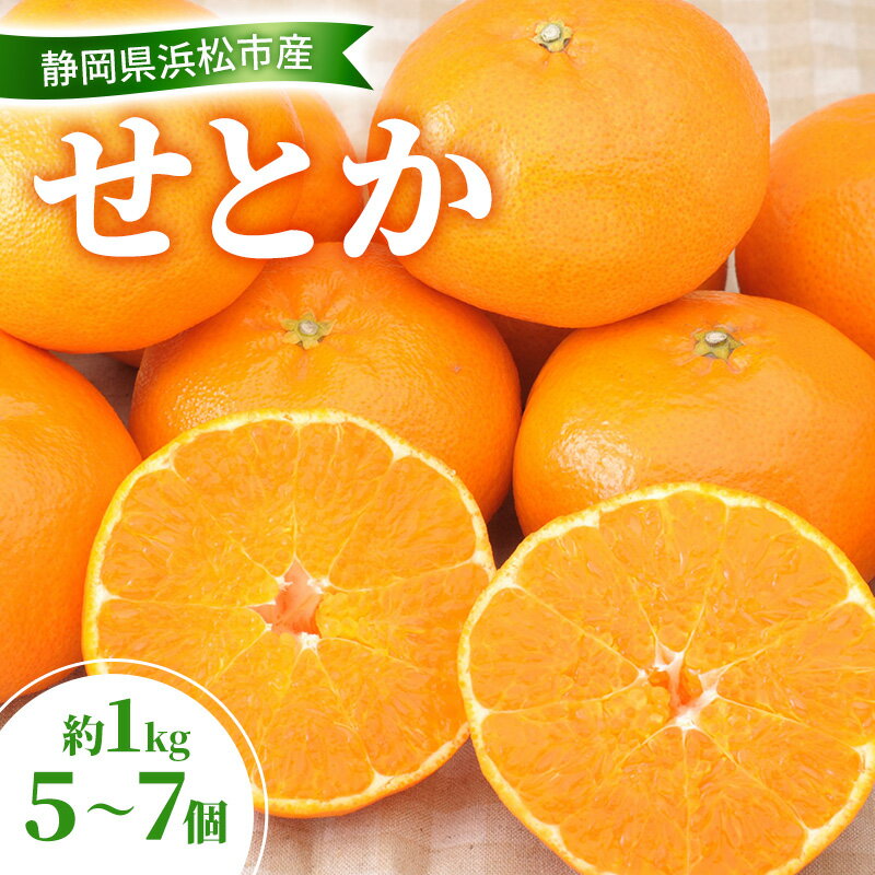 【ふるさと納税】【2027年2月以降発送】せとか 約1Kg 5～7個 柑橘の最高峰 かんきつ 柑橘 みかん ミカン 蜜柑 人気 静岡 浜松市　お届け：2027年2月11日～3月10日まで