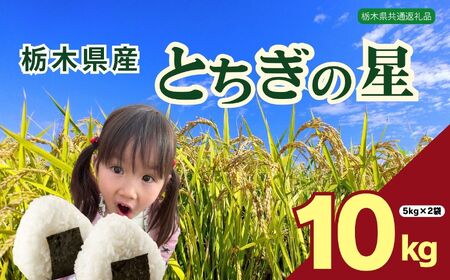 下野市産 とちぎの星 米 10kg | 栃木県 下野市