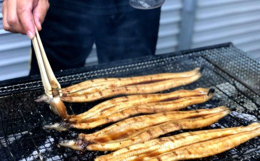 ヤマシン特選うなぎ蒲焼き2本定期便　計3回お届け