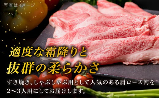 【すき焼き/しゃぶしゃぶ】高級霜降り 肩ロース スライス 500g A4ランク 糸島 黒毛和牛 【糸島ミートデリ工房】 [ACA062] 霜降り 高級 すき焼き しゃぶしゃぶ 牛肉 赤身 黒毛和牛 国