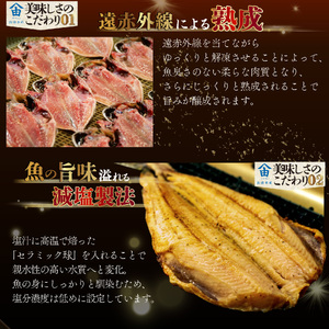 訳あり 干物 4.5kg 【2026年5月発送】 山由水産 干物