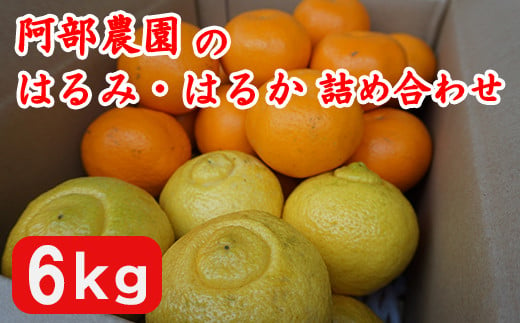 
            【春の調べ】阿部農園のはるみ・はるかの詰合 ／ ミカン みかん 蜜柑 柑橘類 はるみ はるか 詰め合わせ セット 先行予約 数量限定 フルーツ ＜112-015_5＞
          