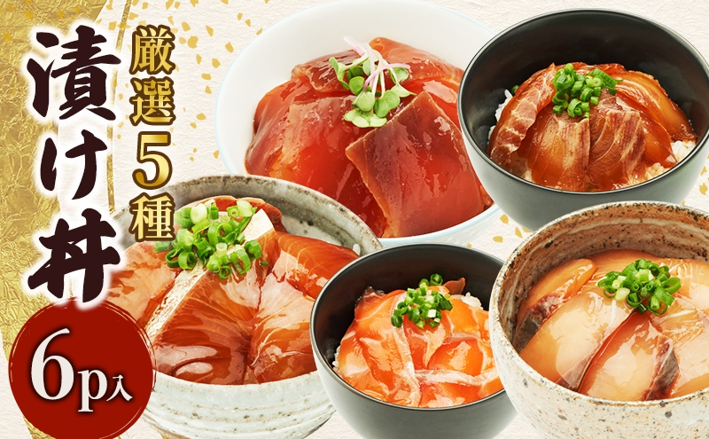 
                  厳選５種　漬け丼６P入り　惣菜 海鮮丼 漬丼 マダイ シマアジ カンパチ ブリ サーモン ヤリイカ 炙りキンメダイ メバチマグロ 新鮮 食べ比べ 千葉市 千葉県 [№5346-1962]
                