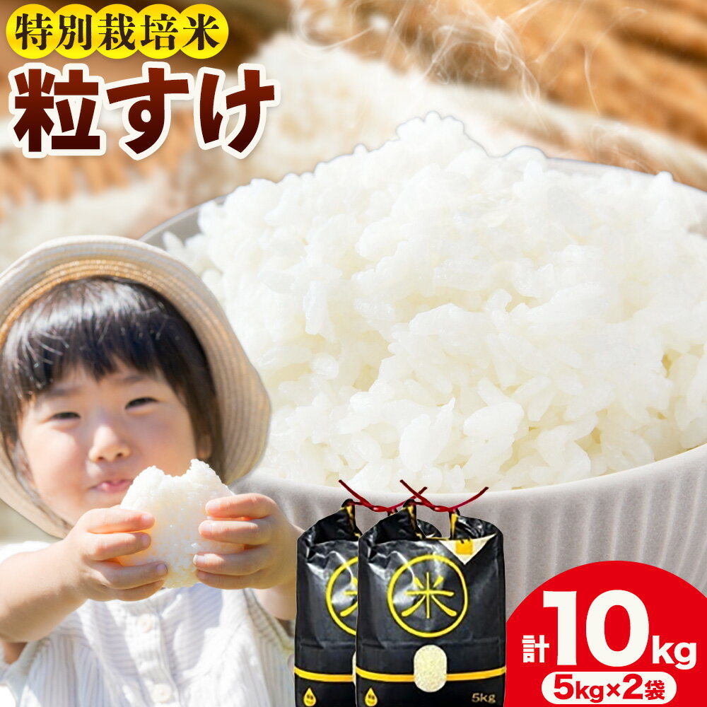 【ふるさと納税】令和7年産 特別栽培米 白米 粒すけ 10kg(5kg×2) 米の半左エ門《30日以内に出荷予定(土日祝除く)》千葉県 我孫子市 つぶすけ 精米 米 白米 ごはん お米 ライス ブランド米 ご飯 和食 お弁当 おにぎり 国産 コメ おかず 送料無料
