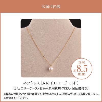 ふるさと納税 大分市 K18　あこや本真珠　パールネックレス　1珠　真珠8.5mm　イエローゴールド_T04001 |  | 03