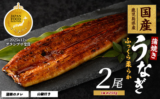 【鹿児島県産】うなぎ蒲焼じっくり焼き約250g×2尾 木目化粧箱入り(大新/IB021-001)