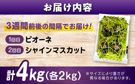 ぶどう【全2回定期便】ピオーネ マスカット 各2kg（計2種）[BAEV014] ぶどう