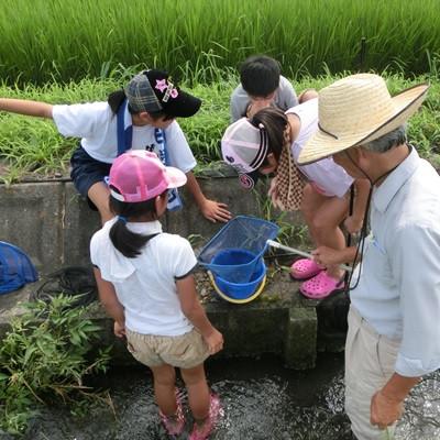 ふるさと納税 池田町 【令和6年産】特別栽培米 30kg【7分ツキ】(ミルキークイーン) |  | 03