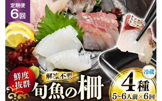 刺身 鮮魚 旬魚 の柵4種 セット （刺身3種＆ イカ 1種）（5～6人前） 6回 定期便 [舘浦漁業 長崎県 平戸市 hr42bgy420045] おつまみ おつまみ 柵 冷蔵 新鮮 海鮮 盛り合わせ 旬 切るだけ 真空パック