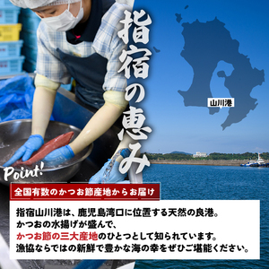 全３回定期便 6種のすり身定期便 あつあつさつま揚げ 山川町漁協 IBZ039-001 定期便 定期便 