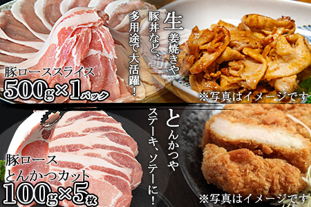 ＜宮崎県産豚肉 《お楽しみ》バラエティーセット 合計2.0k＞翌月末迄に順次出荷【 豚肉 スライス 豚ロース 豚小間 こま切れ 豚ミンチ セット 小分け とんかつ 生姜焼き ハンバーグ 食べて応援 食
