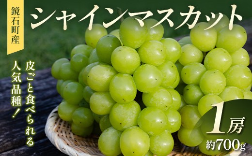 
                  皮ごと食べられる人気品種！鏡石町産 シャインマスカット 1房（約700g）マスカット ぶどう ブドウ 葡萄 デザート フルーツ 果物 くだもの 果実 食品 F6Q-483
                