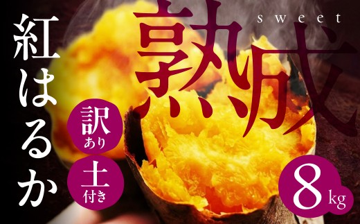先行予約 訳あり さつまいも 8kg サイズ無選別 紅はるか サツマイモ 熟成 焼き芋 スイートポテト さつまいも いも 芋 イモ 焼き芋 スイーツ 甘い 野菜 田原市 渥美半島 大きさ不揃い