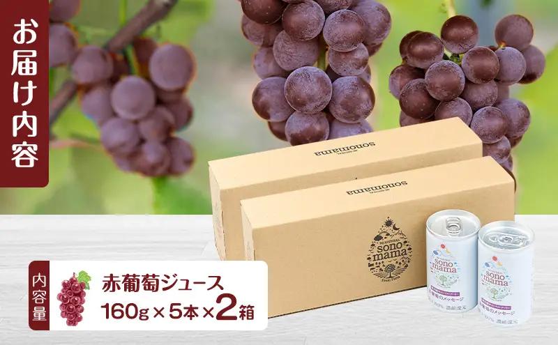 赤葡萄ジュース「sonomama」（160g×5本）×2箱 ぶどう ブドウ ジュース ぶどうジュース 飲料