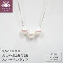 【ふるさと納税】 ペンダント ネックレス ジュエリー レディース アクセサリー あこや真珠 6～6.5mm PT850 シンプル ジュエリーケース付 鑑別書付 保証書付 k072-014