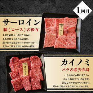 【3回定期便】A5黒毛和牛 希少部位 6種盛り(計3kg) 黒毛和牛