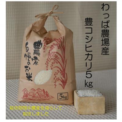 ふるさと納税 武豊町 わっぱのお米5kg(低農薬豊こしひかり)