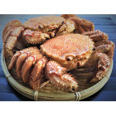 ふるさと納税 射水市 【富山産】毛ガニ約700g×2尾