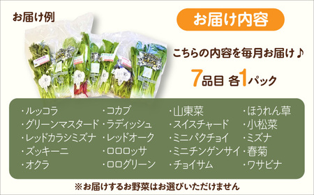 【全6回定期便】 オーガニック サラダミニセット 7種×1パック / 有機JAS 旬 季節の野菜セット 産地直送 詰め合わせ / 佐賀県/株式会社サガンベジ[41ANCH005]