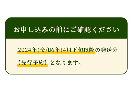 【2024年4月下旬以降発送分 先行予約】熊本県産 アンデスメロン 4玉 合計約5kg 【 4玉 特大 果物 フルーツ 旬 ネット メロン 熊本県 多良木町 農家直送 】 089-0688