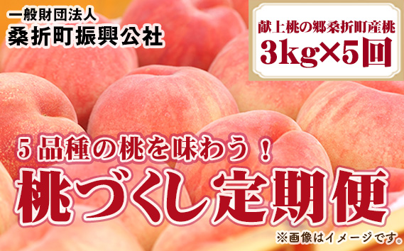 桃づくし定期便5品種【2026年産・献上桃の郷桑折町産もも3kg×5回】 No.199