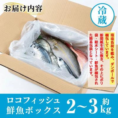 ふるさと納税 肝付町 漁師厳選!ロコフィッシュ(地魚) 下処理済 鮮魚 ボックス(約2~3kg)　A78003 |  | 03