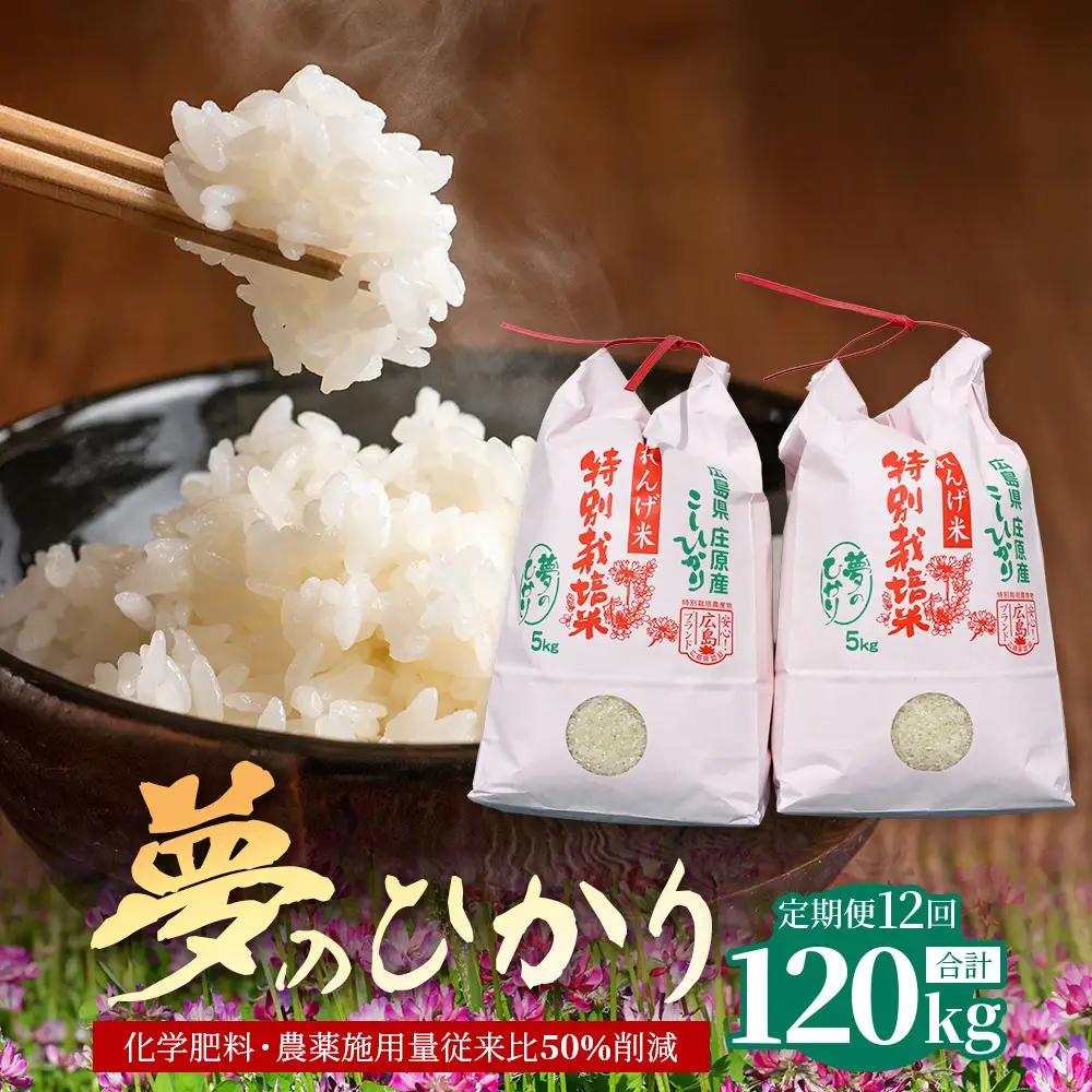 定期便 12回配送 新米 予約受付 令和8年産 れんげ米「夢のひかり」10kg×12回 合計120kg 精米 こしひかり コシヒカリ お試し 広島 庄原 12ヶ月 12か月 12ヵ月